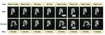 Squint: Fast Visual Reinforcement Learning for Sim-to-Real Robotics