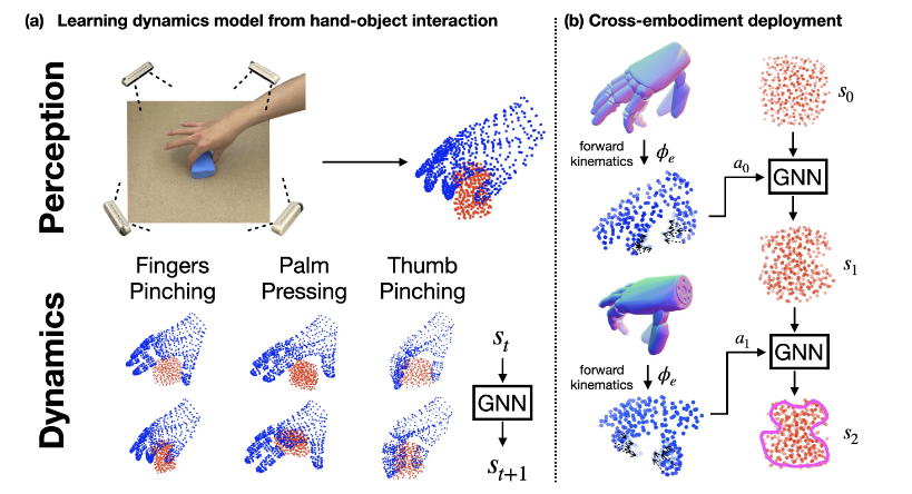 Learning Dexterous Deformable Object Manipulation Through Cross ...