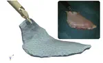 Robust Surgical Tool Tracking with Pixel-based Probabilities for Projected Geometric Primitives